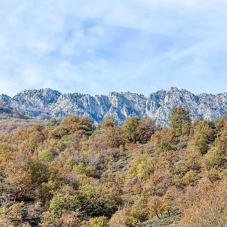 Ntora * Xyloparoikon