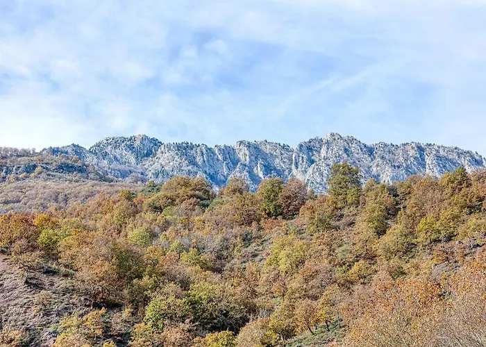 Ntora * Xyloparoikon