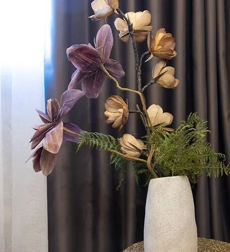 Ntora * Xyloparoikon